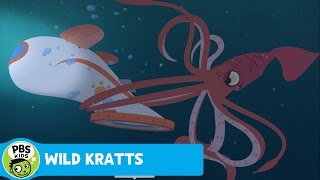 WILD KRATTS  Watch Creatures of the Deep Sea on November 23  PBS KIDS [upl. by Lleirbag]