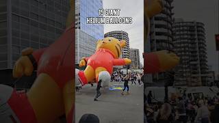 thanksgiving holiday parade youtubeshorts blackfriday 2024 Stamford CT [upl. by Ahsiad]