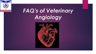 FAQs of Veterinary Angiology 🫀 most imp questionsvetanatomyfaq veterinaryangiology on tips [upl. by Hnahym162]