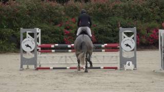 Captain Semilly  CIR 4 ans Mâles Auvers [upl. by Vaientina10]