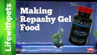 How to Make Repashy Gel Food [upl. by Nitaj]