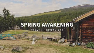 SPRING AWAKENING  07 travel up north [upl. by Haimirej]