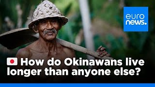 How do Okinawans live longer than anyone else  euronews 🇬🇧 [upl. by Eanert]