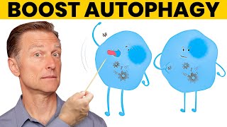 The 7 Powerful Ways to Increase Autophagy [upl. by Naicul790]