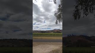 Barossa valley wineries 🍇barossavalley wineries grapes wildlife adelaide [upl. by Nohsar]