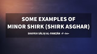 Examples of Minor Shirk  Shaykh Saalih alFawzaan [upl. by Addiego]