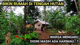 BANGUN RUMAH DI TENGAH HUTAN ADA MACAN BERKELIARAN DISINI [upl. by Iatnohs]