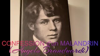 CONFESSION DUN MALANDRIN Angelo BRANDUARDI MILY Chansons [upl. by Girardi]