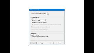 W2  E Filing to the SSA Using E File Services [upl. by Dore]