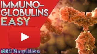 Immunoglobulins Structure and Function Antibody Structure Types and Function [upl. by Hermione432]