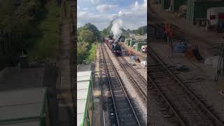 Train Arrival Watercress Line 4 October 2024 [upl. by Warfeld]