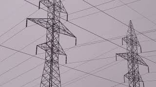 Active selfdamping conductor [upl. by Irwinn]