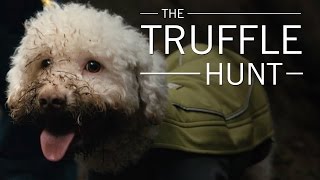 Original Fare  The Truffle Hunt  Original Fare  PBS Food [upl. by Eciryt]