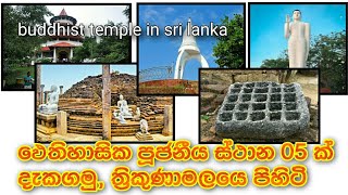 Sacred City of trincomalee Sri Lanka  Ancient Buddhist Temples In Sri Lanka  temple in trinco [upl. by Atsyrhc500]