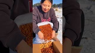 Pine nuts harvesting activities from farmers with rural life reels 2024 shorts satisfying t [upl. by Flavio]