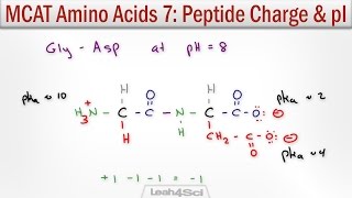 How to Calculate Peptide Charge and Isoelectric Point MCAT Trick [upl. by Gristede]