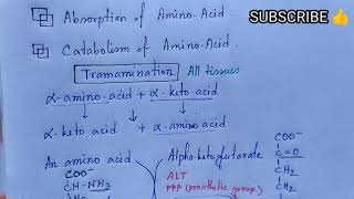 Transamination  Transdeamination of Amino Acids  Note  MEDU [upl. by Marlette895]