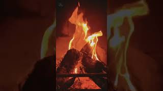 🔥 Burning Cozy Fireplace with Crackling Fire Sounds FHD shorts fireplace asmr fireplacesounds [upl. by Nuzzi]