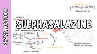 Sulphasalazine DMARD  Pharmacology mechanism of action metabolism side effects [upl. by Nannah]