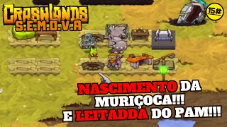 O nascimento da muriçoca  CrashLands 15 [upl. by Publius]