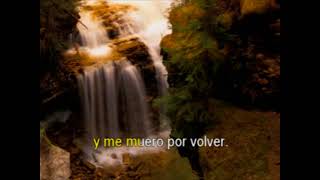 Volver volver Vicente Fernandez karaoke [upl. by Nagam459]