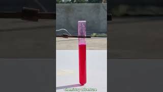 Science experiments Acid base indicator chemistry science viralvideo physics trending [upl. by Id696]