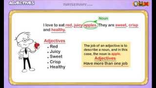 Adjectives Everything You Need To Know Grammar for Kids [upl. by Alehcim]