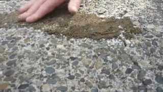 HOW TO Apply amp Match crack filler to exposed aggregate driveway [upl. by Christiano899]