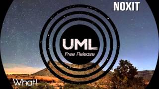 Future House Noxit  What Original MixUML Free Release [upl. by Delly]