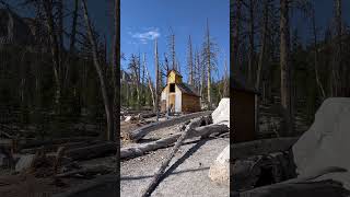 When a dormant volcano comes alive  CO2 Kill Zone  Mammoth Lakes California [upl. by Rika767]