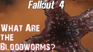 Theories Legends and Lore Fallout 4 What are the Bloodworms [upl. by Corabel]