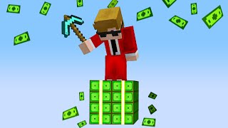 Minecraft But Its One Millionaire Block [upl. by Lancaster]