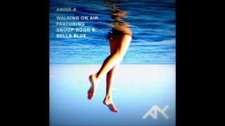 Anise K  Walking On Air Lyrics Featuring Snoop Dogg amp Bella Blue [upl. by Maxama]