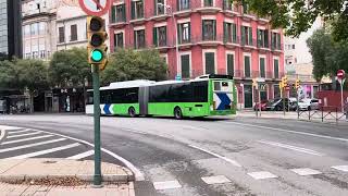 Just The One Vid From Palma Today But A Few Buses In This Vid 23062024 [upl. by Dihahs750]