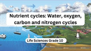 Nutrient cycles Water oxygen carbon and nitrogen cycles [upl. by Adnahsor]