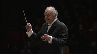 Beethoven Symphony No5  Lorin Maazel 2010 [upl. by Hubbard]