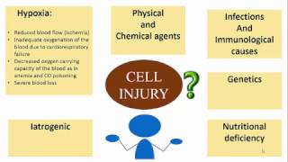 CELL INJURY ETIOPATHOGENESIS [upl. by Oflunra]