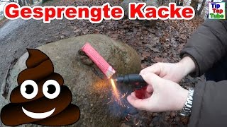 Gesprengte Kacke  Ekelhaftes Silvester Feuerwerk  Knaller Vlog TipTapTube [upl. by Ahsaenat]