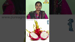 டிராகன் பழத்தின் பயன் dragon fruit health nature organic food sweet tasty heart sugar [upl. by Ardnahc]