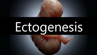 Will Artificial Wombs Save Us From Birth DeclineEctogenesis [upl. by Yasmar]