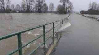 Hochwasser Kleve  Griethausen Warbeyen am 13012011 [upl. by Ignacia576]