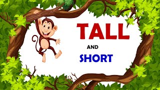 Tall and Short  Comparison for Kids  Learn PreNumber Concepts [upl. by Marron]