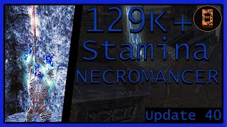 129K  Stamina Necromancer  Infinite Archive  PvE Guide [upl. by Callahan]