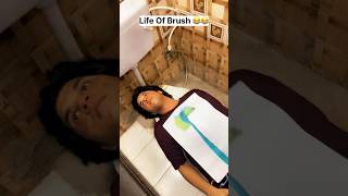 Wait For Toilet Brush 😂😂 funnyvideo ytshorts [upl. by Jerold]