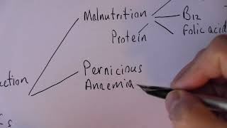 Anaemia 1 Types and causes of anaemia [upl. by Ansley]