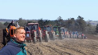 Veteran Pløjedag 2024  Mange forskellige traktorer i marken  Så blev det endelig forår igen [upl. by Ronnoc403]