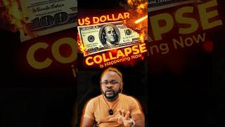 The US Dollars COLLAPSE  What Next [upl. by Opiuuk]