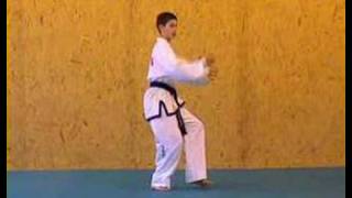 ITF TaekwonDo Patterns 2 of 14 Saju Makgi [upl. by Fleeman]