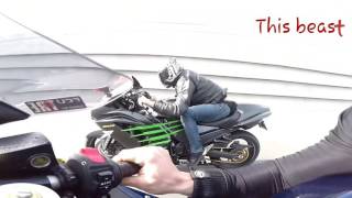 ZX14R 2016 vs build HAYABUSA Smackdown [upl. by Akimat956]