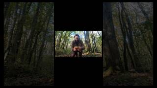 NO FOOD CHALLENGE nofood challenge mushrooms foraging wild camping survival overnight fyp [upl. by Adnirb566]